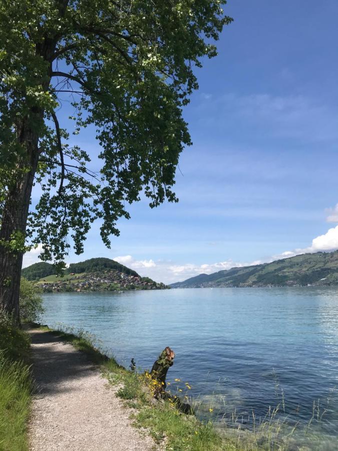 Moderne Unterkunft Mit Panoramablick Auf Thunersee Krattigen Ngoại thất bức ảnh
