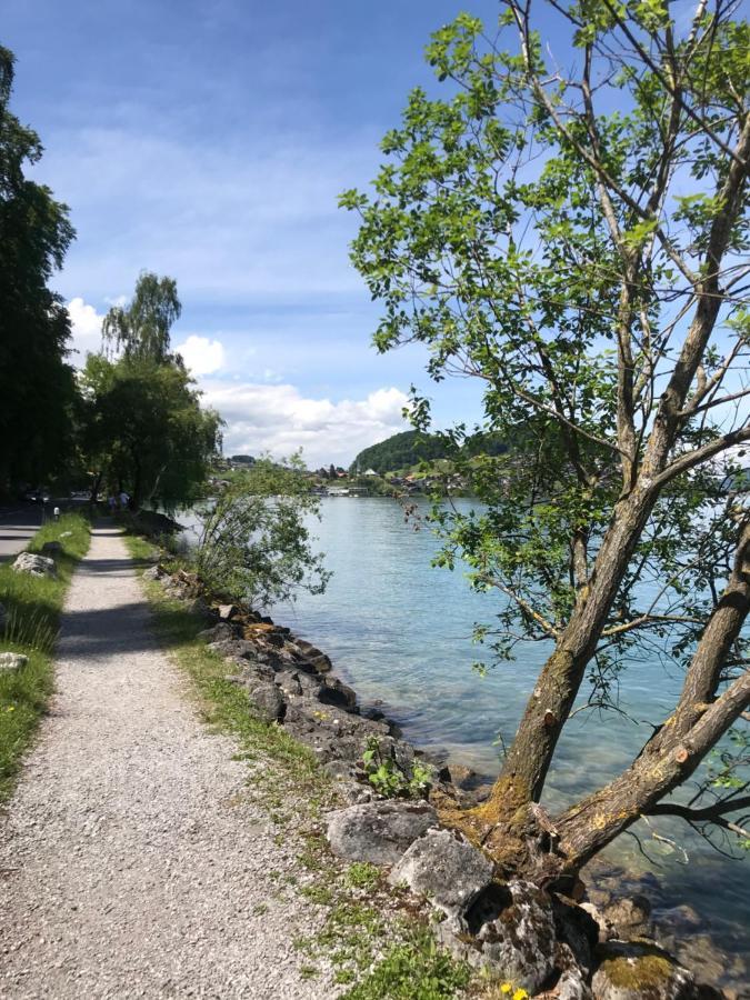 Moderne Unterkunft Mit Panoramablick Auf Thunersee Krattigen Ngoại thất bức ảnh