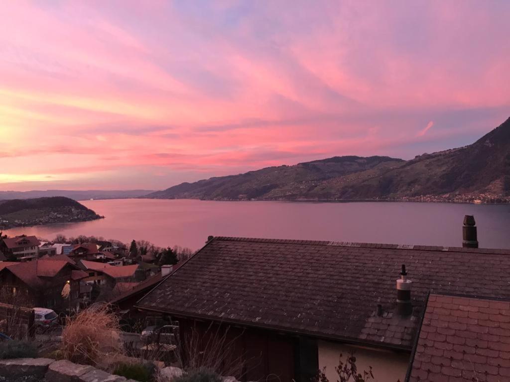 Moderne Unterkunft Mit Panoramablick Auf Thunersee Krattigen Ngoại thất bức ảnh